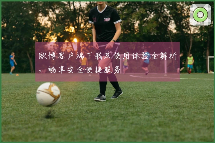 欧博客户端下载及使用体验全解析,畅享安全便捷服务