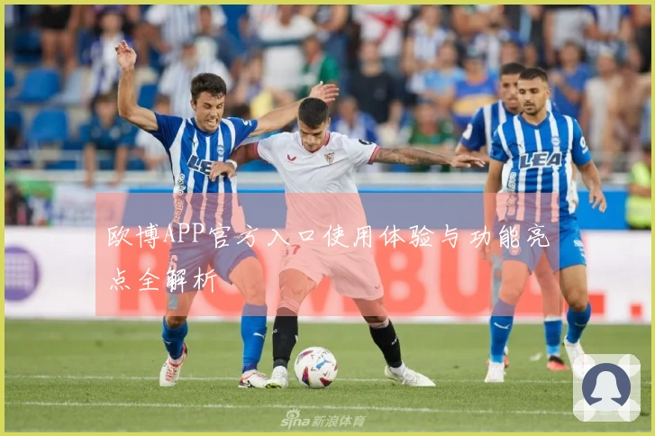 欧博APP官方入口使用体验与功能亮点全解析