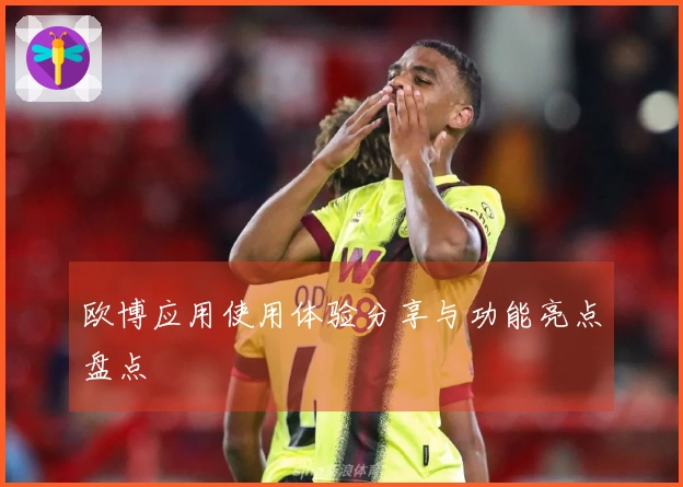 欧博应用使用体验分享与功能亮点盘点