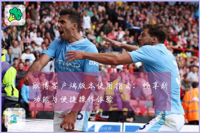欧博客户端版本使用指南：畅享新功能与便捷操作体验