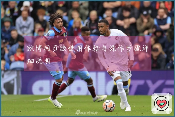 欧博网页版使用体验与操作步骤详细说明